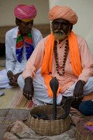 Snake Charmer