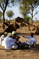Camel Heard