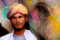 Elephant trainer