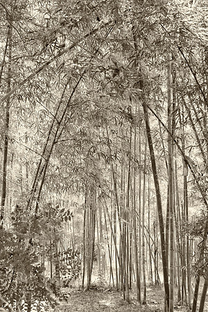 26 - Myanmar