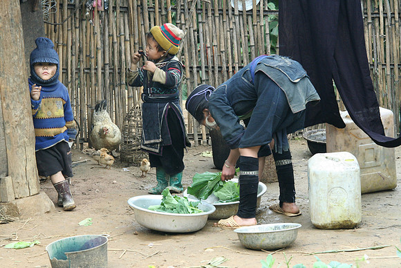 43 - Vietnam