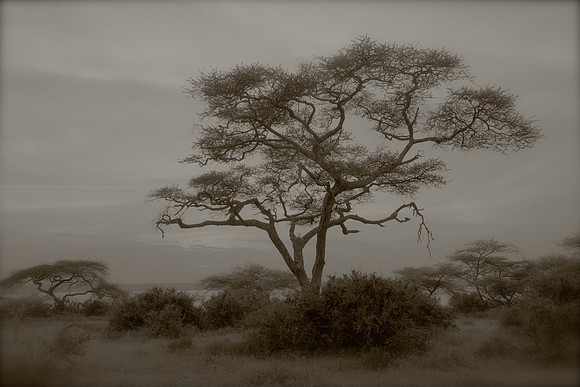 Enchantment