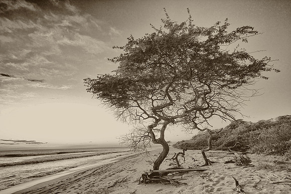 Calmness/Protection